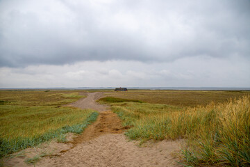 Rugged coastal landscape in Denmark with grasses and dunes
