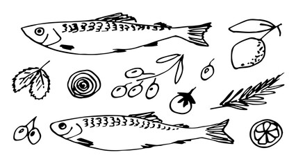 Mediterranean food. Fish set, vegetables, lemon slices, onion, olives, rosemary branch, seafood. Hand drawn vector illustration with black outline. Ink sketch.