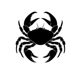 black crab isolated on white
