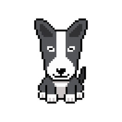 Pixel art cute bull terrier dog vector in retro style