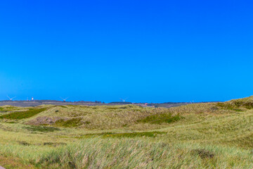 Rugged coastal landscape in Denmark with grasses and dunes