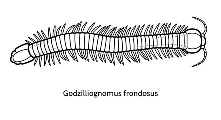 Detailed Illustration of Godzillagnomus frondosus