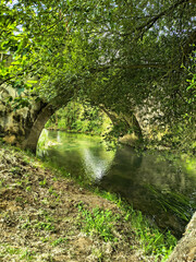 Obraz premium Tranquil scene An old stone bridge embraced by vibrant green foliage spans a serene, clear river. Evokes peace, nature, and timelessness. Great for travel, serenity concepts.