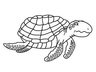 Black outline sea turtle vector illustration. Hand drawn sketch of turtle. Marine wildlife line art