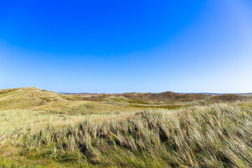Rugged coastal landscape in Denmark with grasses and dunes