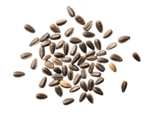 Rudbeckia seeds png rudbeckia seed png flower seeds png garden seeds png plant seeds png yellow flower seeds png organic seeds png gardening seeds png transparent background image