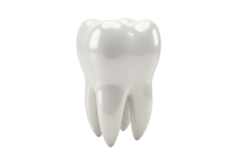 Isolated 3D Render of a Single Tooth