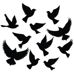 Collection of Flying Birds Eagle Dove Sparrow