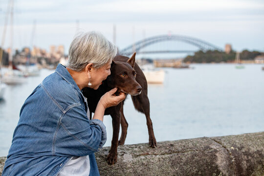 Senior woman leaning forward to pet her dog standing on a stone ledge.
