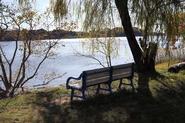 晩秋の湖畔の木々とベンチ　