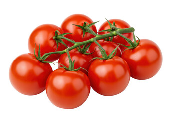 Isolated Bunch of Fresh Red Cherry Tomatoes on the Vine