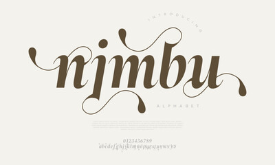 Swirly and elegant script font with a warm and handcrafted style, ideal for invitations and packaging