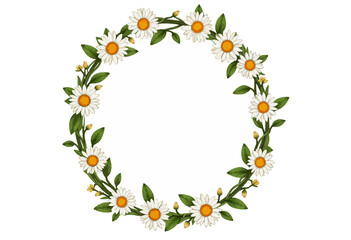 Fototapeta premium Floral wreath made of white daisies with green leaves 