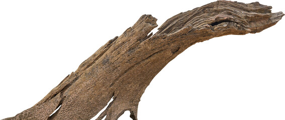 Dry branch tree naturally.