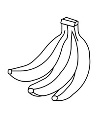 Banana Bunch Line Art Illustration