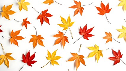 Fototapeta premium Vibrant Autumn Maple Leaves A Colorful Fall Pattern