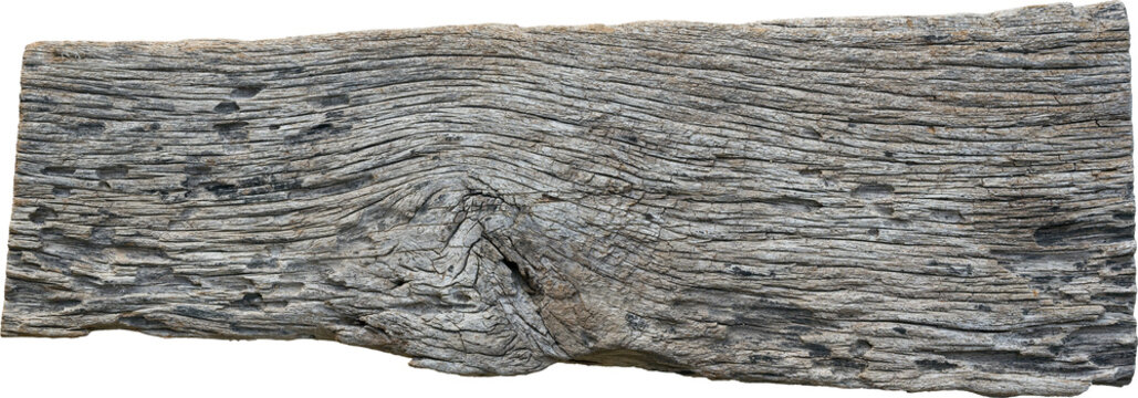 Woodl texture background