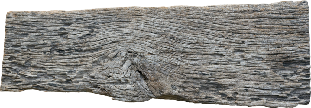 Woodl texture background