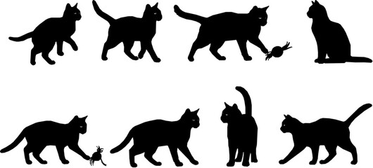Set of vector cat silhouette. Kitten, kitty or pet animal in different poses and playing with toy or alone. animal pet, wildcat and kitten, hunter and predator, black silhouette illustration.