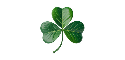 A single shamrock with three leaves isolated on a black background in a centered composition