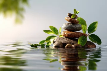 Zen-inspired natural composition featuring smooth river stones stacked delicately, fresh green leaves gently resting nearby, and clear water rippling softly around them