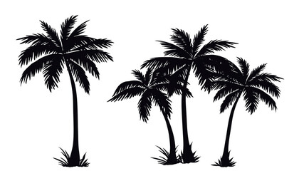 silhouette of palm trees