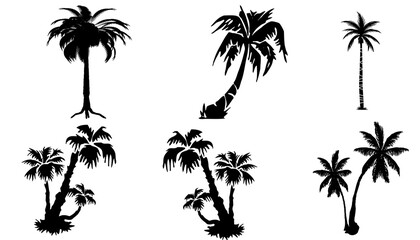 set of palm trees