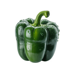 A single green bell pepper with water droplets isolated on a black background in a studio shot