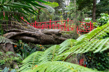 Red Oriental Bridge Amid Lush Tropical Foliage in Monte Palace Madeira Garden