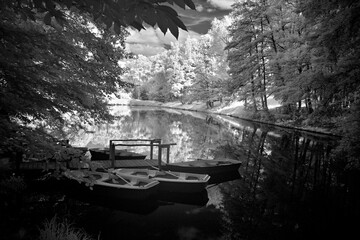 infrared image of a lake near the castle of Ludwig