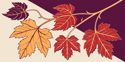 Obraz premium Set of different color's autumn vine leaves isolated on purple and white background vector illustration