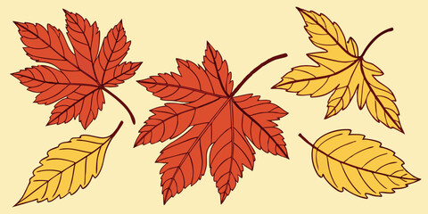   Set of different color's autumn vine  leaves isolated on yellow background vector illustration