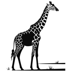giraffe vector illustration