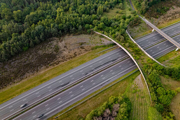 Forest aerial wildlife crossing forming a safe natural corridor bridge for animals to migrate between conservancy areas. Environment nature reserve infrastructure engineering eco passage from above