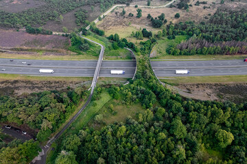 Dutch landscape with nature reserve ecoduct wildlife crossing Borkeld forming a safe natural...
