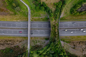 Forest aerial wildlife crossing forming a safe natural corridor bridge for animals to migrate...