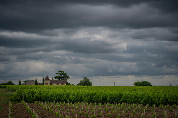Lush green vineyards stretch across the landscape in Saint-Laurent-des-Combes, Bordeaux, while dark clouds gather above, signaling an upcoming change in weather.