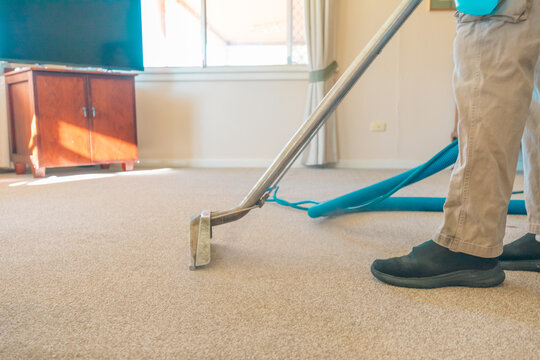 Carpet cleaning professional using steam cleaner in home