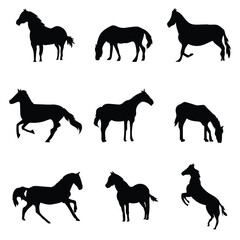 horse silhouette mustang silhouettes pack vector design 
