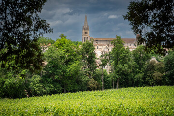 Lush green vines stretch across the vineyard in Saint-Emilion, with a distant church steeple peeking through the trees under an overcast sky, creating a serene landscape.