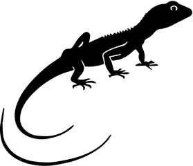 lizard on white background