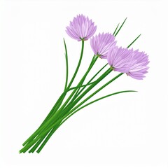 chives as a vector file isolated on white - clip art