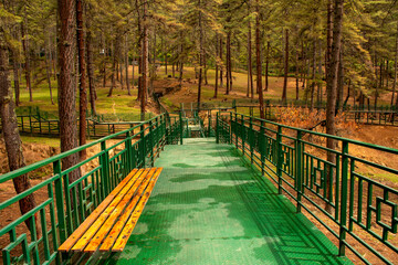 Obraz premium Beautiful green walkway in Takin Zoo Park- Thimphu , Bhutan