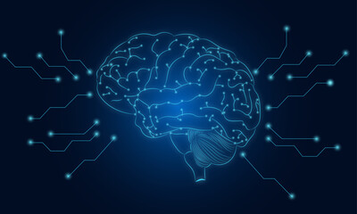 Brain network Visualize neural connections