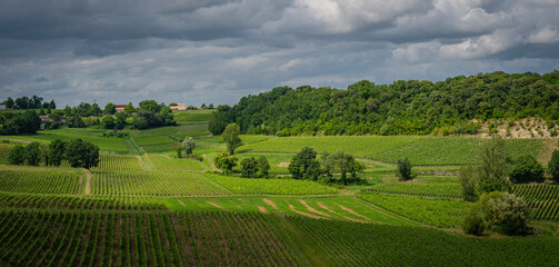Vibrant vineyards stretch across the landscape of Saint-Emilion, rich in greenery and life during springtime, embodying the charm of the Bordeaux wine route.