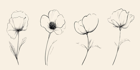 Four stylized line art flowers