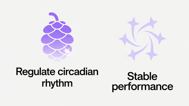 Purple pine cones and star patterns represent the regulation of circadian rhythm and stable performance, suitable for health management and sleep product scenarios.