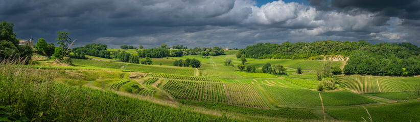 Vibrant vineyards stretch across the landscape of Saint-Emilion, rich in greenery and life during springtime, embodying the charm of the Bordeaux wine route.