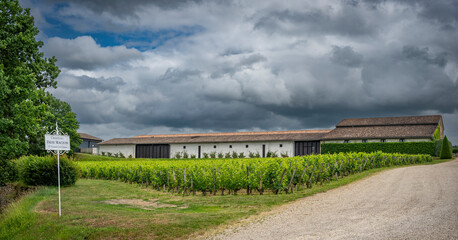 Exploring the picturesque landscape of Chateau Pavie-Macquin in Saint-Emilion, surrounded by vibrant vineyards under a dramatic cloud-filled sky.