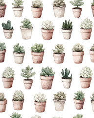 Fototapeta premium Watercolor Succulent Pattern: Terracotta and White Pots on Transparent Background, PNG